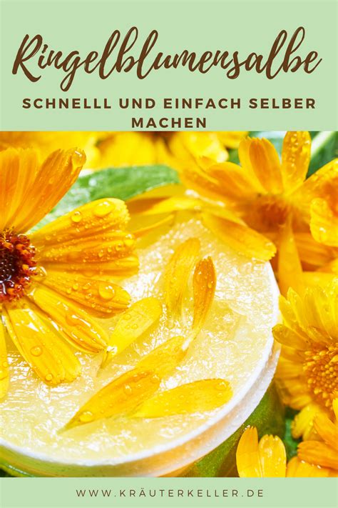 Ringelblumensalbe schnell und einfach selbstgemacht Kräuterkeller