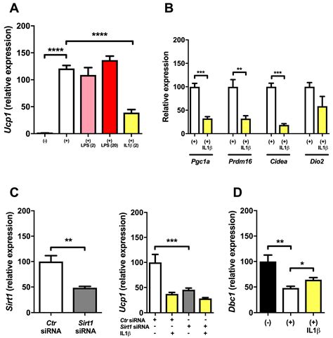 Ijms Free Full Text Inflammation Downregulates Ucp1 Expression In