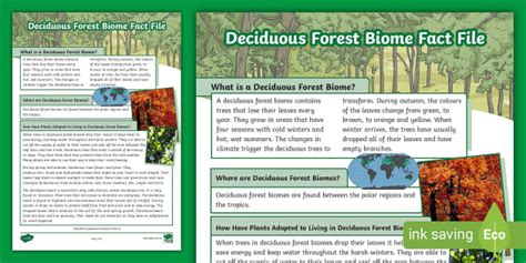 Deciduous Forest Biome Fact File | Environmental Adaptations