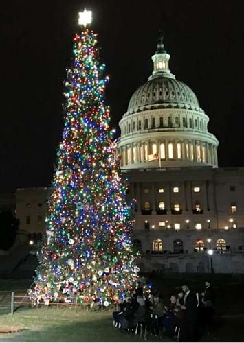 Us Capitol Christmas Tree Lit In Special Ceremony Kenworth