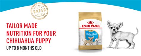 Royal Canin Chihuahua Puppy | zooplus.co.uk