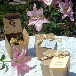 Plantas Y Semillas Como Regalo Para Invitados De Boda Bautizo Y