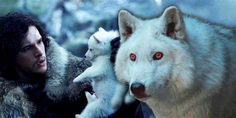 The Fate Of Game Of Thrones Direwolves Explained