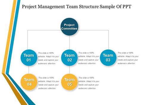 Project Management Team Structure Sample Of Ppt PowerPoint Templates