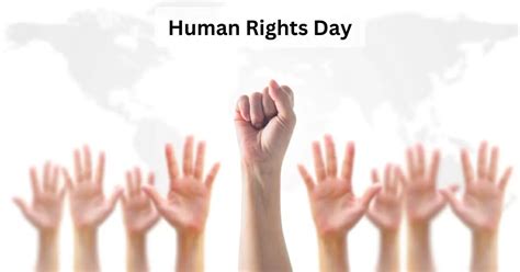 Human Rights Day 2023: What Is The Theme For 75th Anniversary Of Human Rights Day & How It Will ...