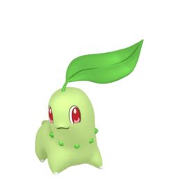 Chikorita Evolution