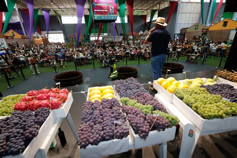 Começa hoje a 39ª Festa da Uva e 10ª Expo Vinhos de Jundiaí Notícias