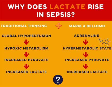 Lactate Lacthate St Emlyn S