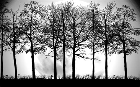 Tree Silhouette Wallpapers - Top Free Tree Silhouette Backgrounds - WallpaperAccess