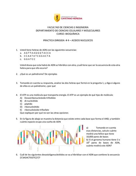 Practica 4 Nucleotidos FACULTAD DE CIENCIAS E INGENIERIA