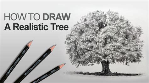 How To Draw A Tree Realistic Youtube