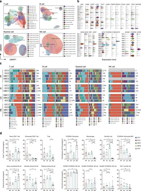 A UMAP Plot Of Subclustered T B NK And Myeloid Cells Labeled In