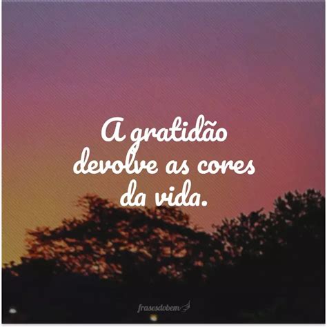 Frases De Gratid O Vida Para Esbanjar Boas Energias Artofit