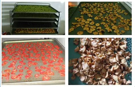 Hot Air Drying Oven Efficient Fish Mushroom Drying