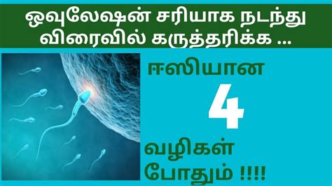 Boost Ovulation In Easy 4 Tips Naturally In Tamil Tips To Boost