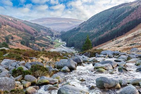 Things To Do In Wicklow Discover Tree Top Walks Picturesque Mountains