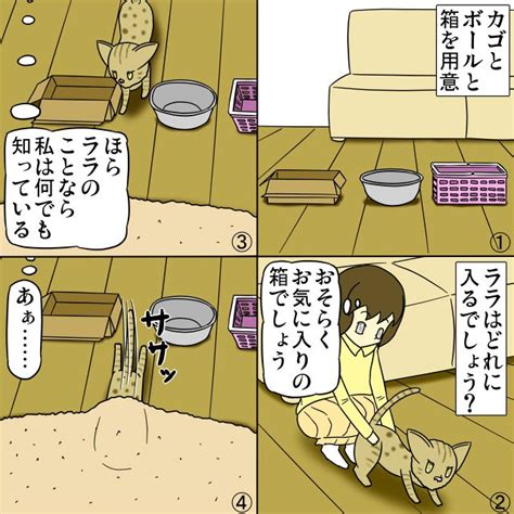 思わぬ展開 猫の漫画とケモナーの漫画が見れるブログ