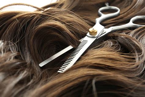 How To Use Thinning Scissors | Thinning Hair With Shears