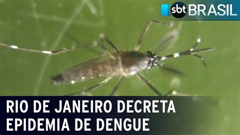 Explos O De Casos Rio De Janeiro Decreta Epidemia De Dengue Sbt