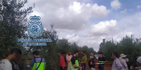 Operación policial contra la explotación laboral en el campo sevillano