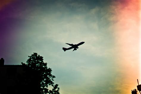 Free Images Silhouette Wing Cloud Sky Sunset Sunlight Morning