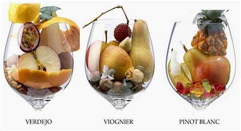 Aromas Del Vino Clasificación De Los Aromas Del Vino