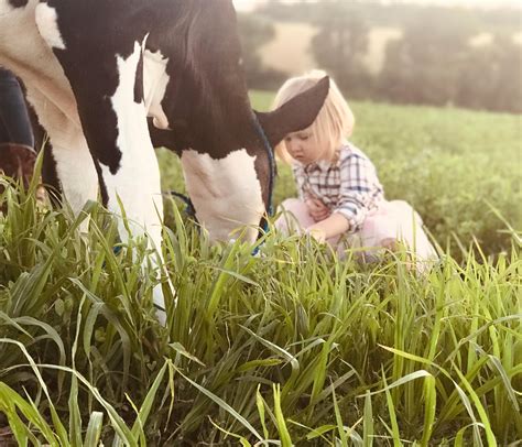 Subscribers of the clinton iowa herald complain about fees 11