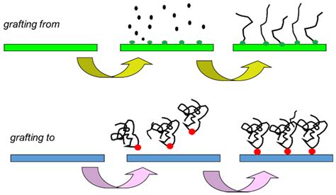 Membranes Free Full Text Enhanced Specific Mechanism Of Separation