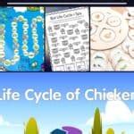 Animal Life Cycle Games