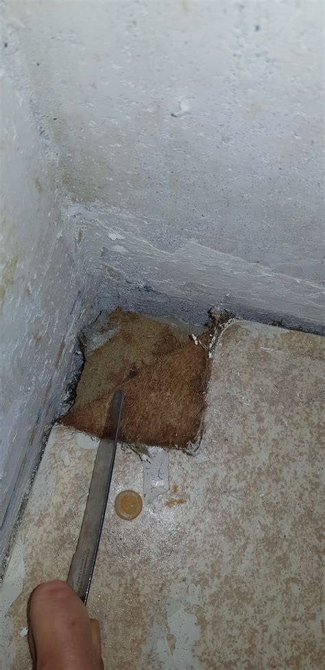 Ist das Asbest unter dem PVC Boden? (PVC-Boden)