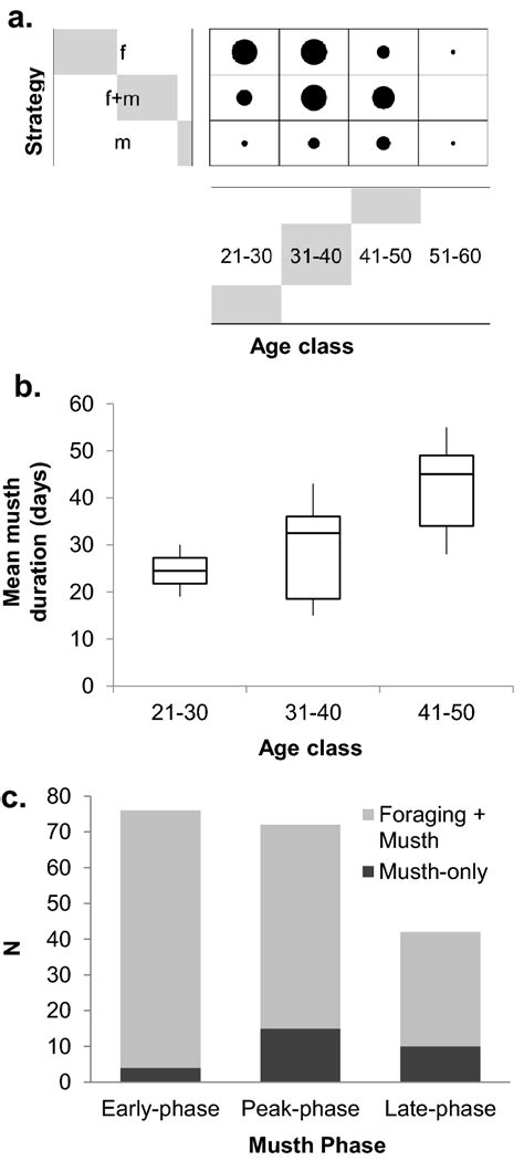 Musth expression and strategies. (a) Distribution of male ages across ...