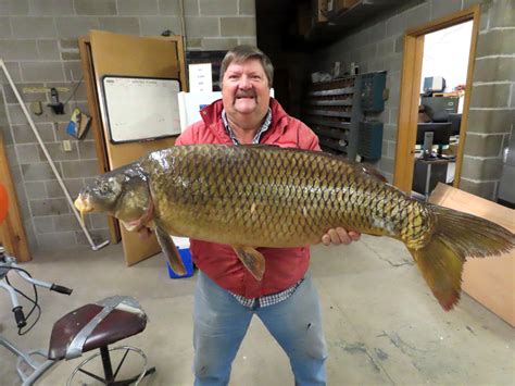 Nebraska Angler Lands State Record Common Carp Outdoor Life