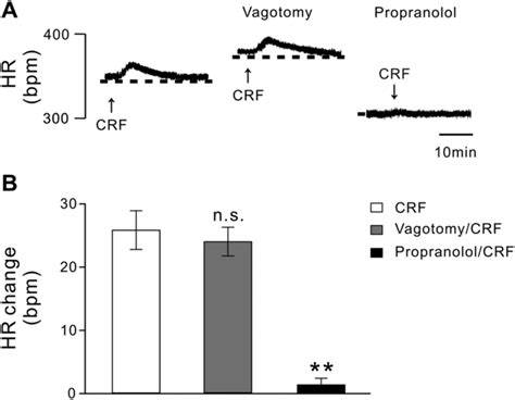 Effect Of Vagotomy And Blockade Of Cardiac Sympathetic Nerve Activity