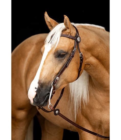 Western Bridle With Reins Headstalls With Knotted Browbands Kramer