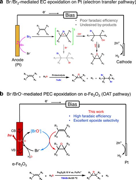 Schematic Illustrations For Epoxidation Of Alkenes By Different