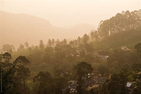 Sunrise Over The Tea Hills Of Sri Lanka By Stocksy Contributor Sam