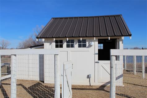 Sheep Shed