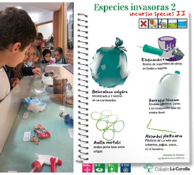 Eco Detectives Un Proyecto Transversal De Aprendizaje Servicio