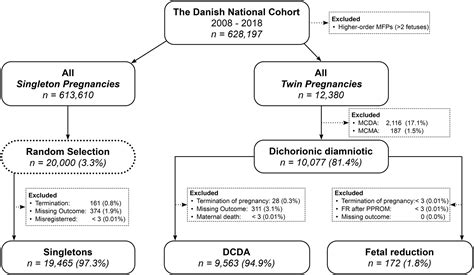 Risks And Pregnancy Outcome After Fetal Reduction In Dichorionic Twin