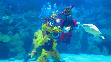 GLOBALink Malaysian Aquarium Holds Underwater Lion Dance For Lunar