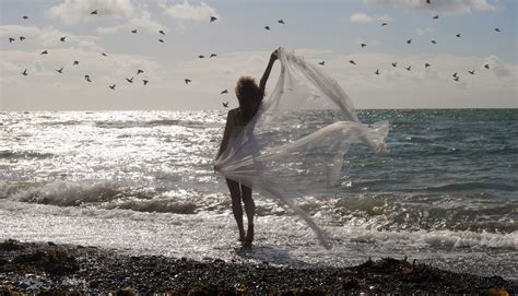 Wallpaper Sea Ocean Water Shore Wind Wave Sky Coast Seabird