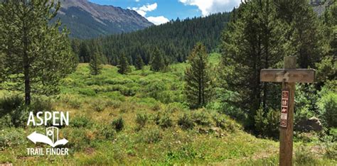 Tabor Creek Trail Near Aspen Co Aspen Trail Finder