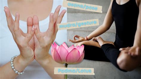 The Lotus Mudra/Padma Mudra and Full Lotus Pose in Yoga Padmasana ...