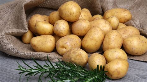 Aardappels Uit Eigen Tuin De Tuin Op Tafel