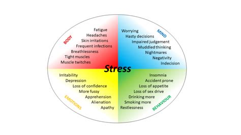 A Brief Overview Of Stress