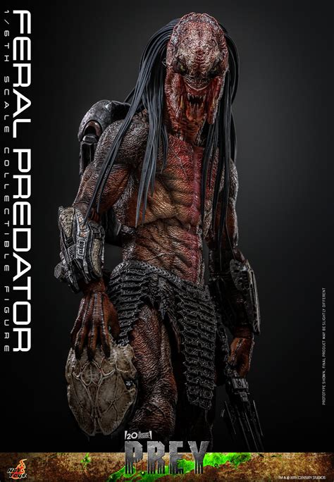 Hot Toys Shows Off Its Feral Predator Action Figure From The Movie PREY GeekTyrant