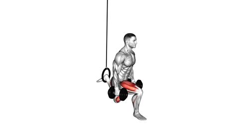 Dumbbell Single Leg Split Squat Ring Workout Guide And Tips