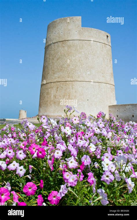 City Walls, Umm Al Quwain Museum and Fort in Umm Al Quwain, UAE Stock ...