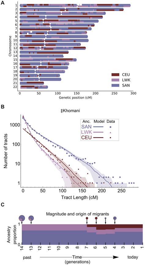 Demographic Reconstruction Of Recent Admixture In The Khomani San