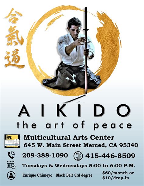 Aikido The Art Of Peace — The Mac